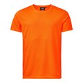 SouthWest Ray för herrar technical t-shirt Orange